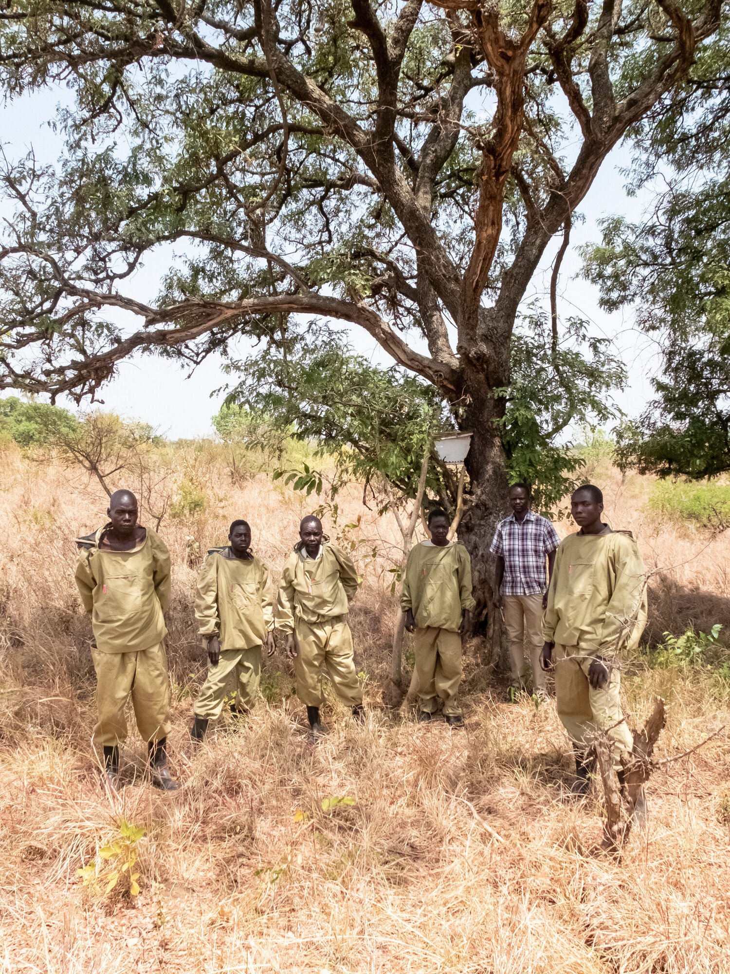 A group of Ugandan beekeepers stand under a tree