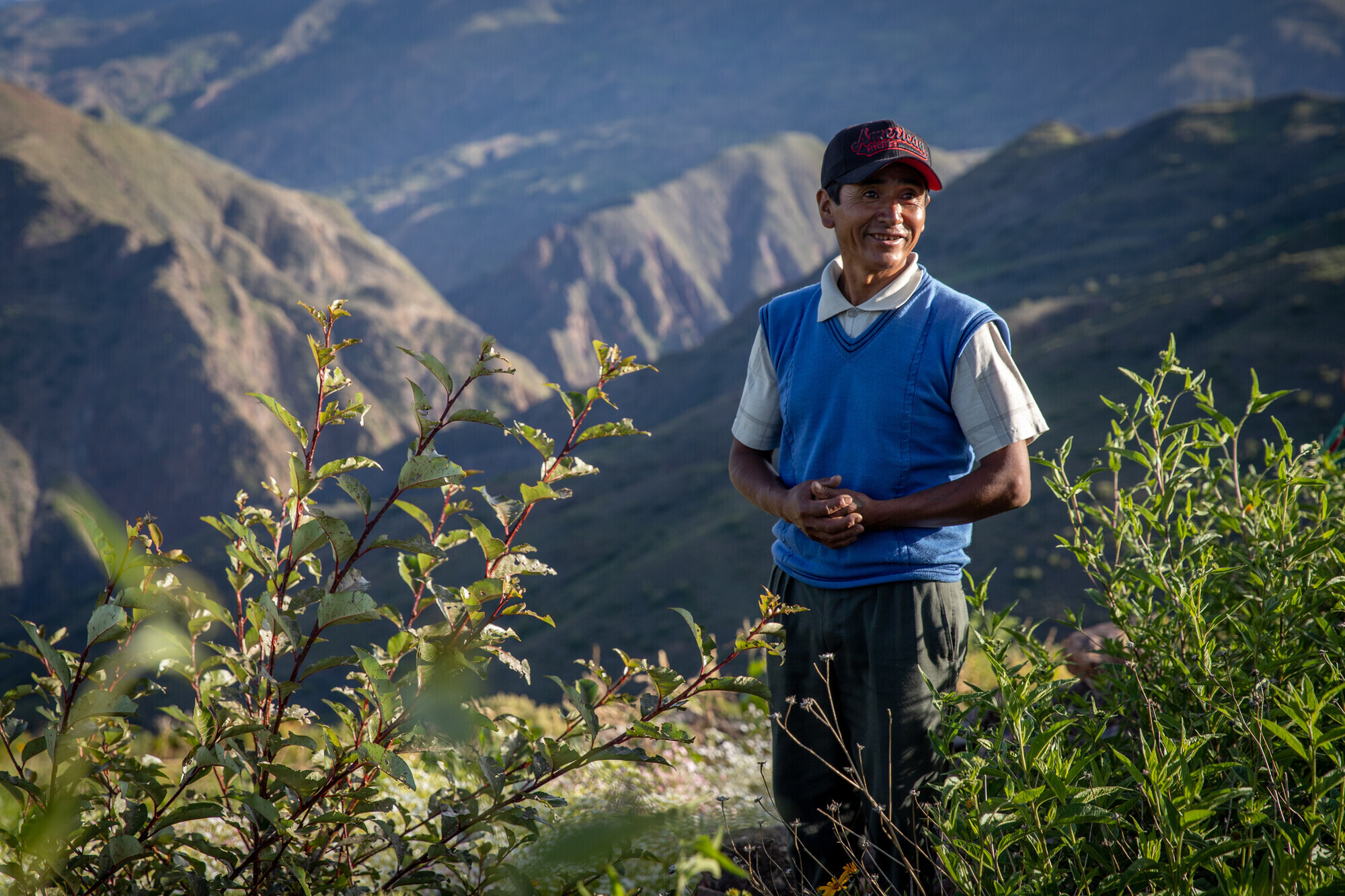 A man in a blue sweater vest and a cap stands in a garden on the mountainside of Bolivia