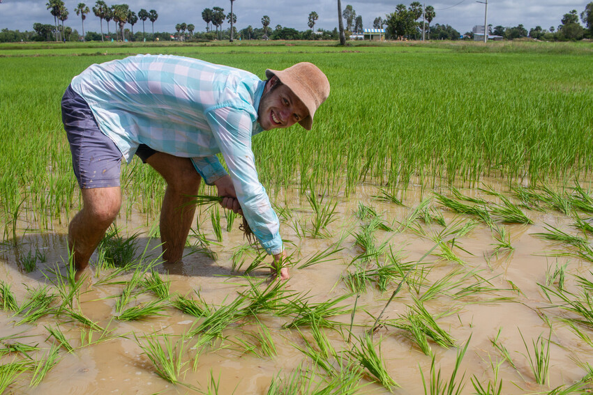 A  young adult in a bucket hat works in a rice field