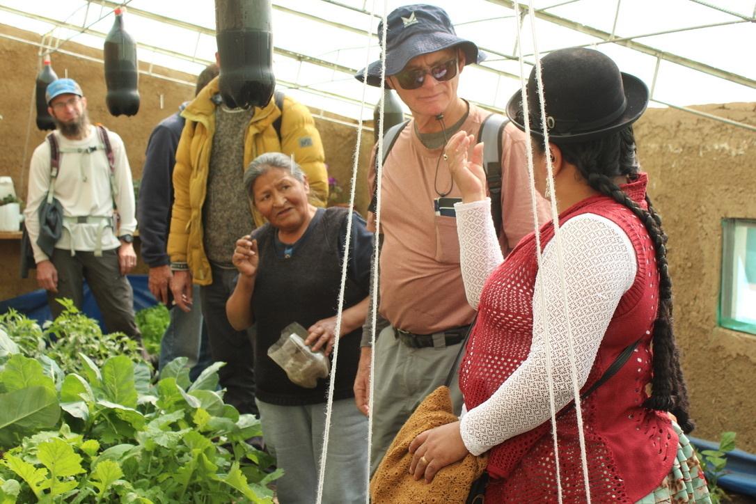 A group of people talk in a green house