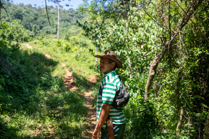 A man facing to the left on a trail looking at lush, green, trees in Colombia