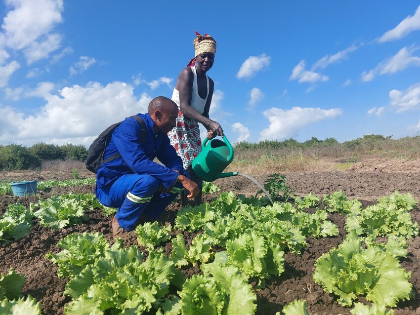 Thabiso Matsoso, MCC's conservation agriculture worker in Mozambique, watches closely at how the water is being poured out by Julia Kombo, a project participant.

Matsoso assists the Chigogoro commu