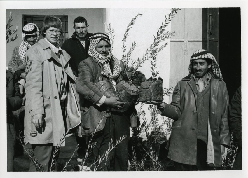 Paul Quiring (left) served as MCC representative in Palestine from 1976-1978. In this photo circa 1978, Quiring observes the distribution of olive tree seedlings to Palestinian farmers in the West Ban