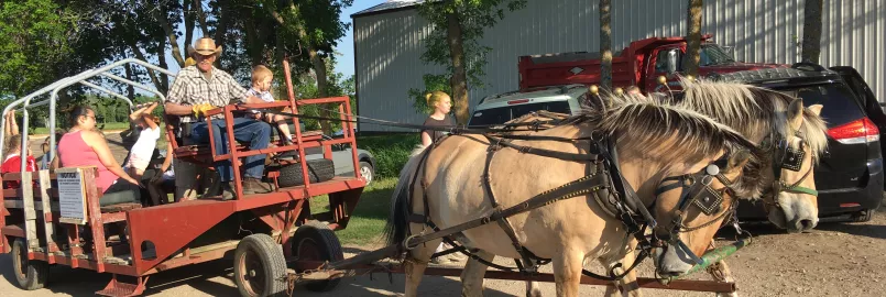 Horses pulling a wagon of families