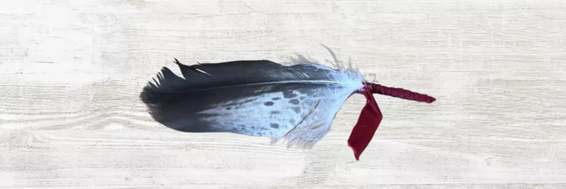 A photo of a feather created by an Indigenous artist.