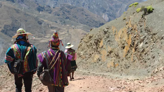 A group of Indigenous Bolivans walk down a mountain side