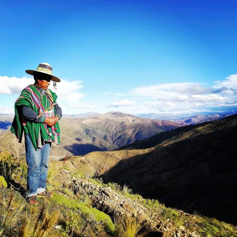 A Bolivian Indigenous person stands on a mountainside.