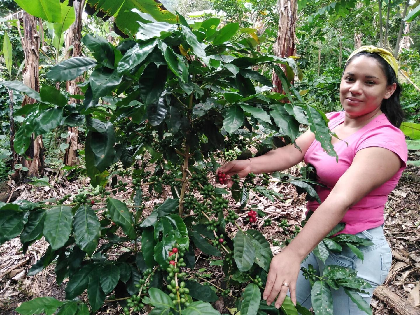 A woman stands by a coffee bush