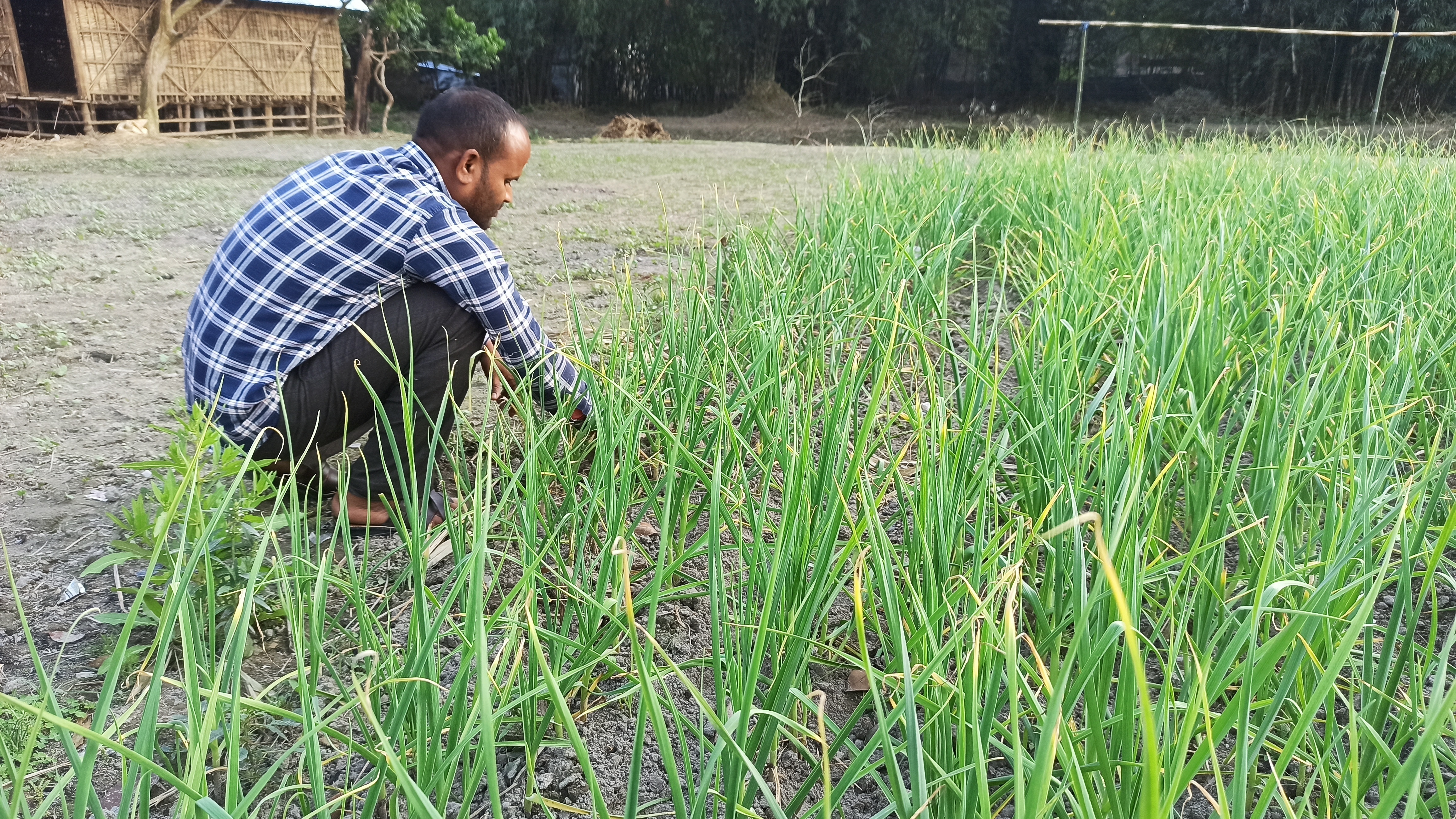 A man squats and works in his garden