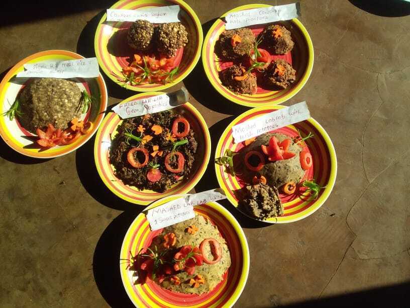 A group of six plates filled with a variety of food