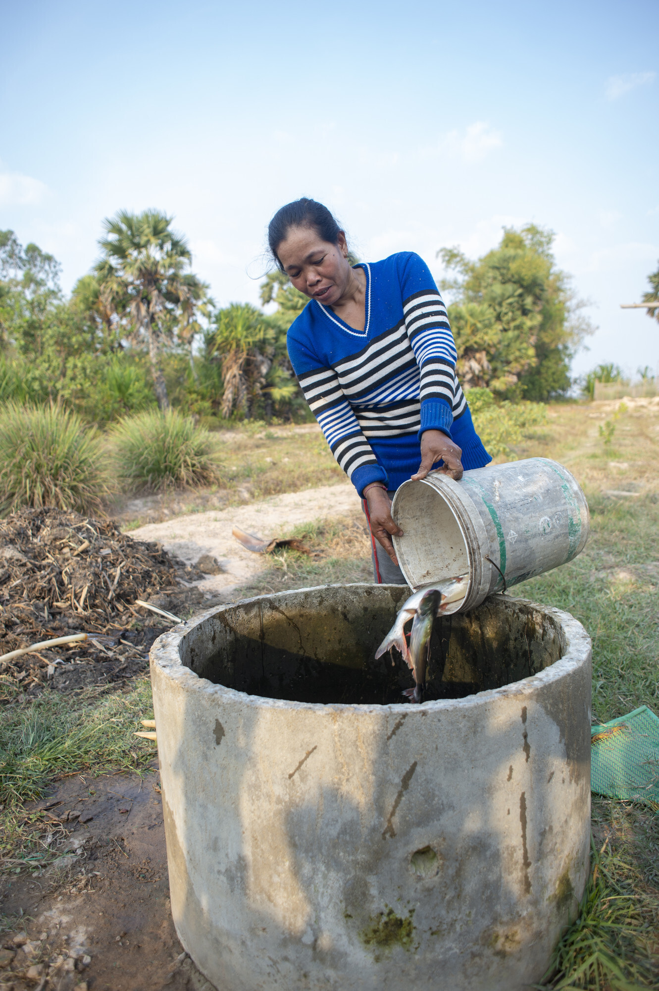 A Cambodian woman pours a bucket of fish into a cement cistern. 