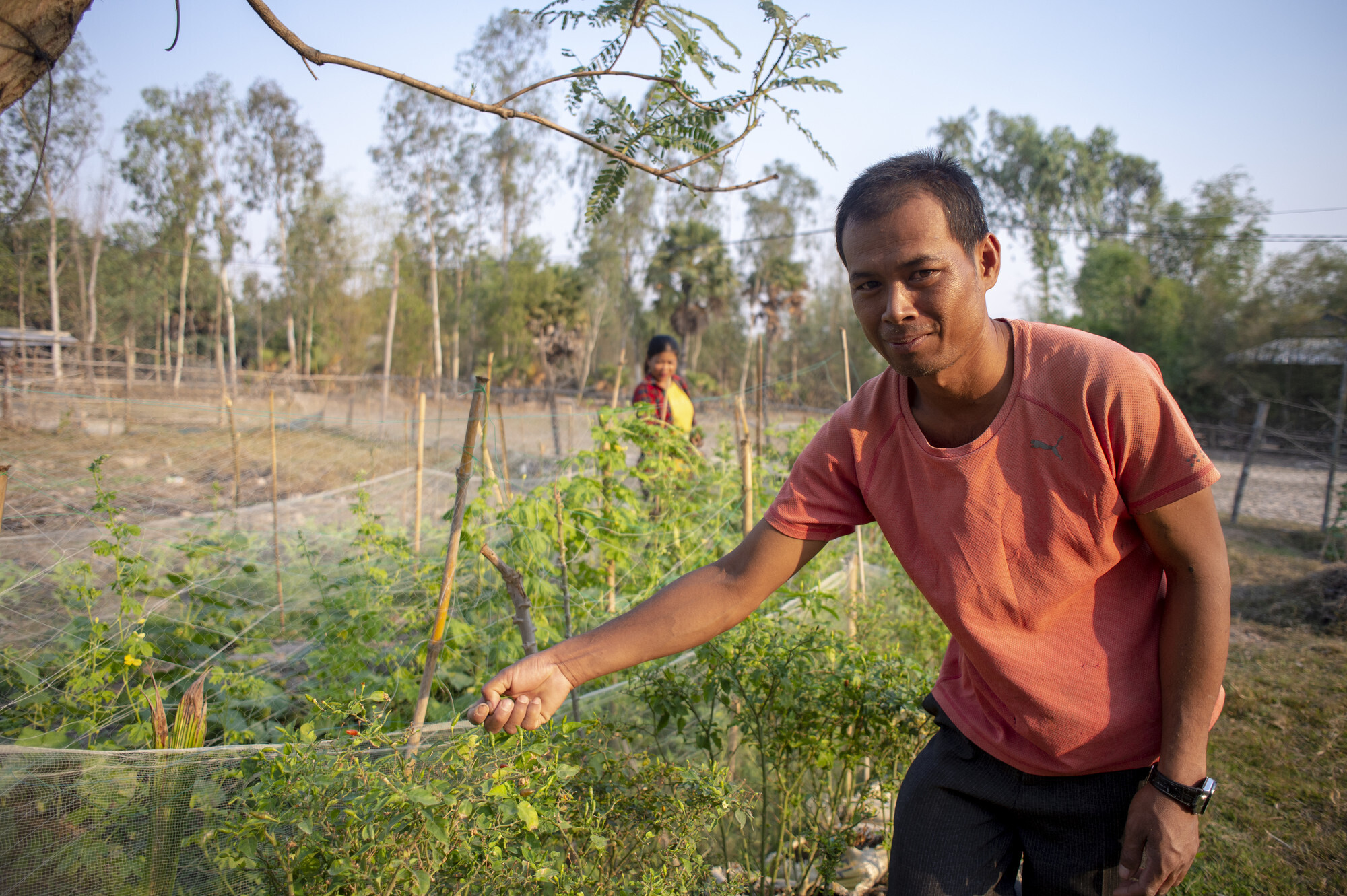 A Cambodian man stands next to his garden