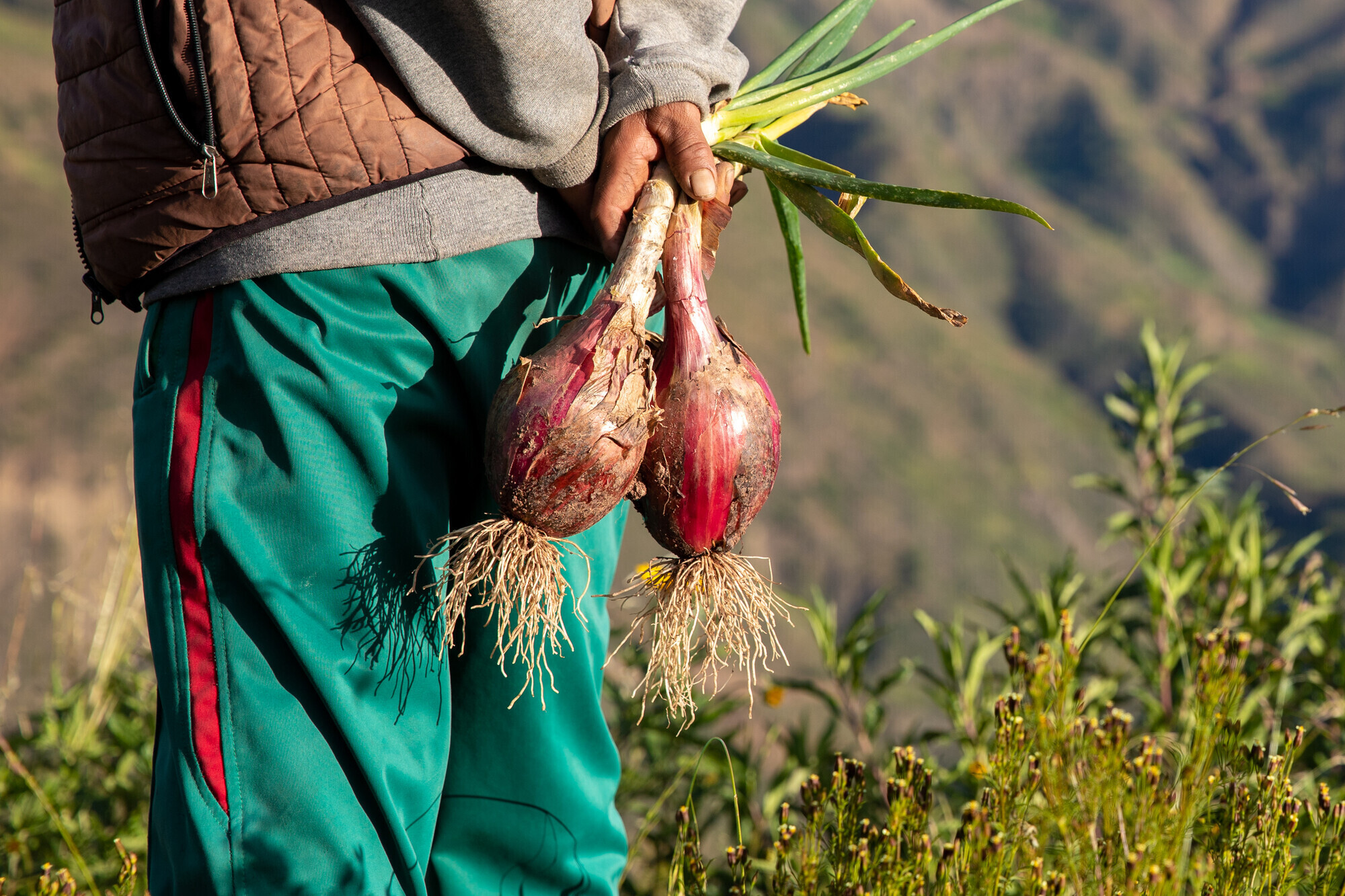 A person in green pants holds onions behind their back.