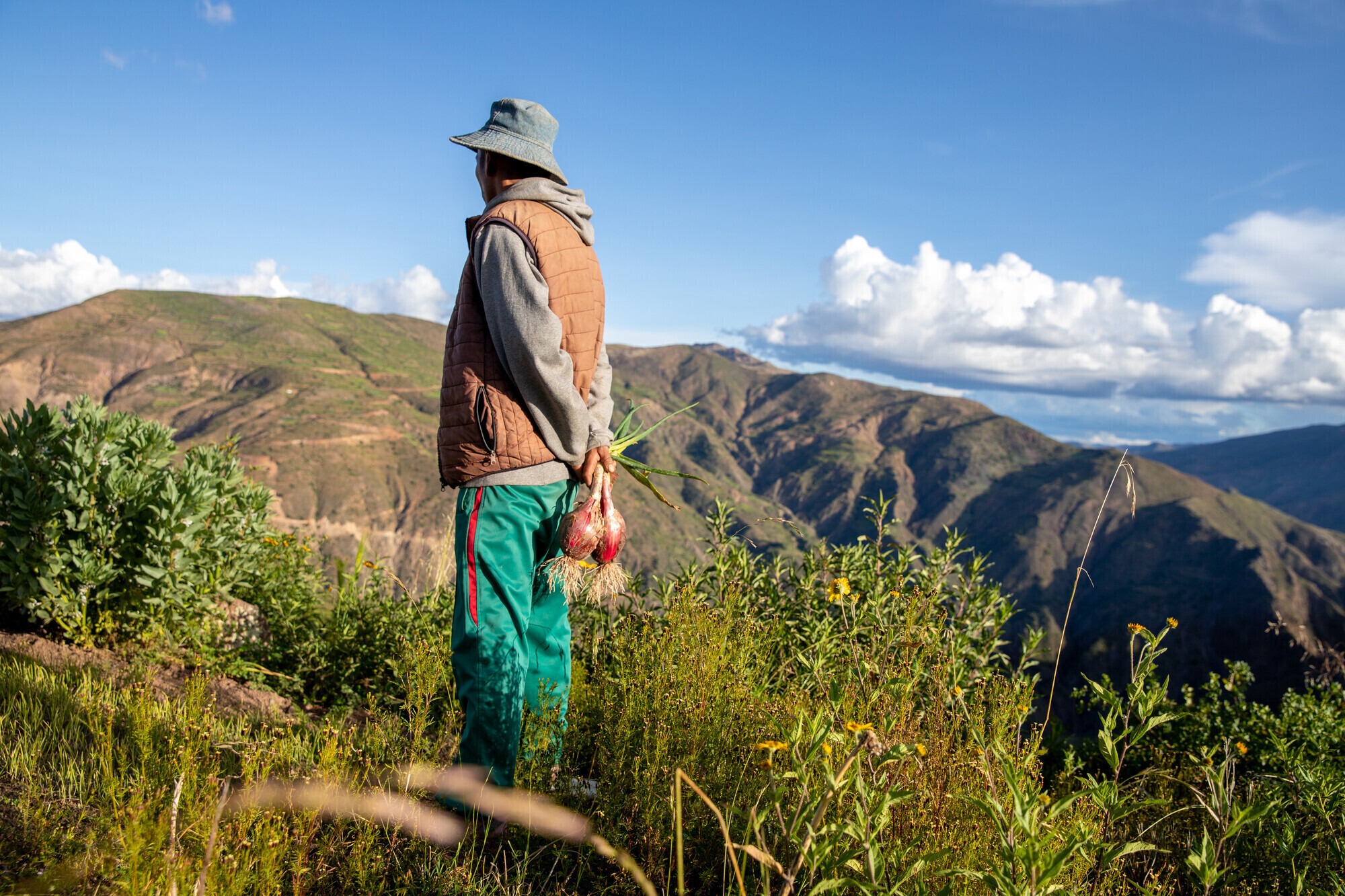 A Bolivian farmer stands with his back to the camera. He is holding onions behind is back.