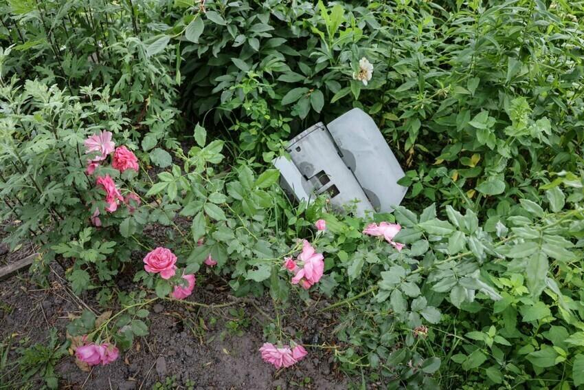 An unexploded rocket in a rose garden in Ukraine