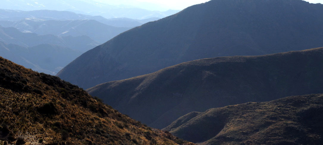 Bolivian hillside
