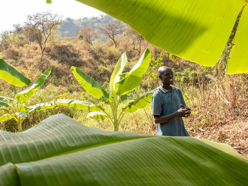 A Ugandan man stands in his field