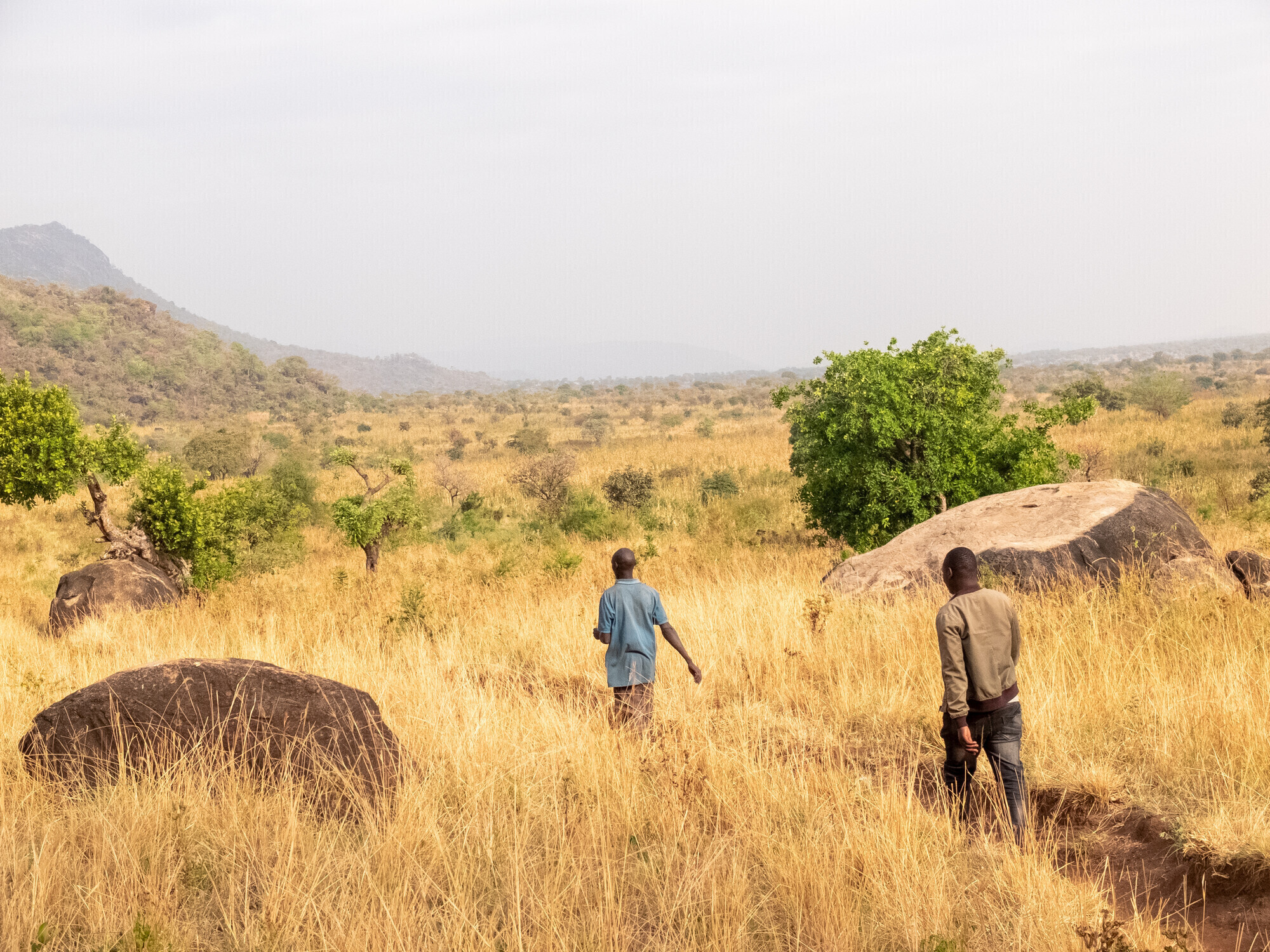 farmer walking through dry grass in Uganda