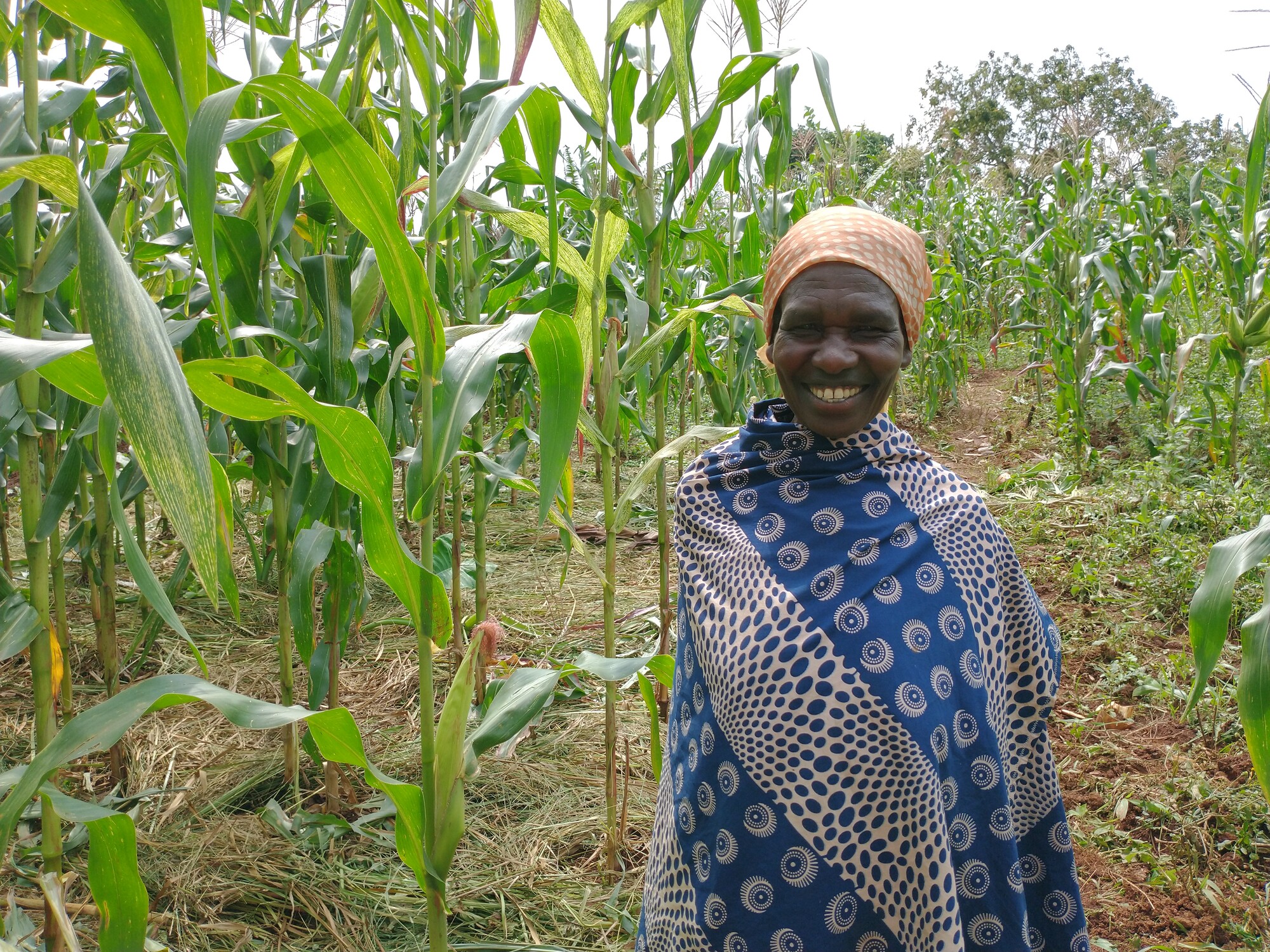 A woman standing in a cornfield smiling