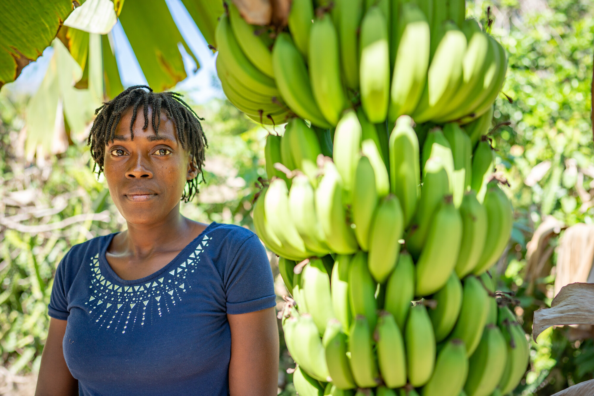 A Haitian woman in a blue shirt stands in her garden. There are bunches of bananas next to her.