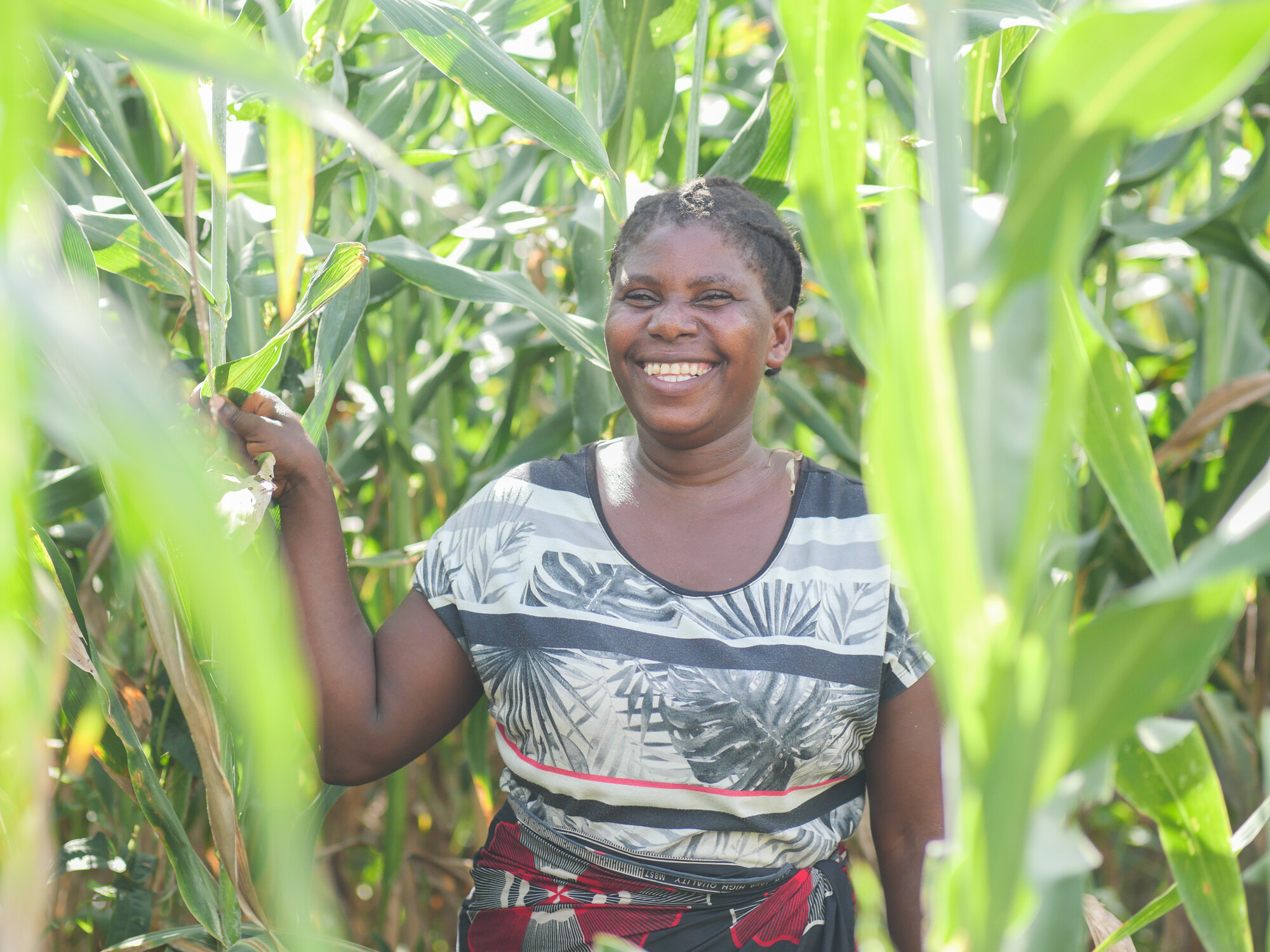 A Malawi woman stands in a field of tall corn and laughs