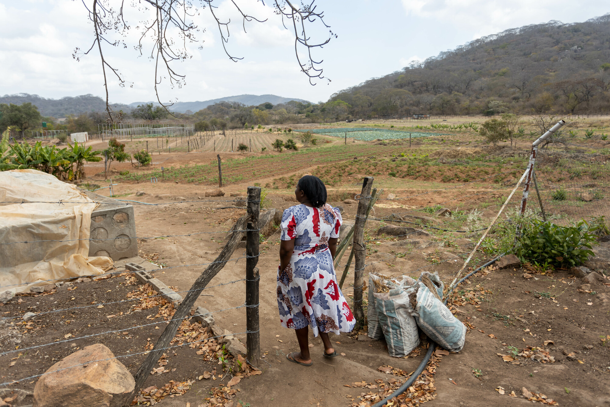 A Zimbabwean woman enters through the opening of a fence to her farm