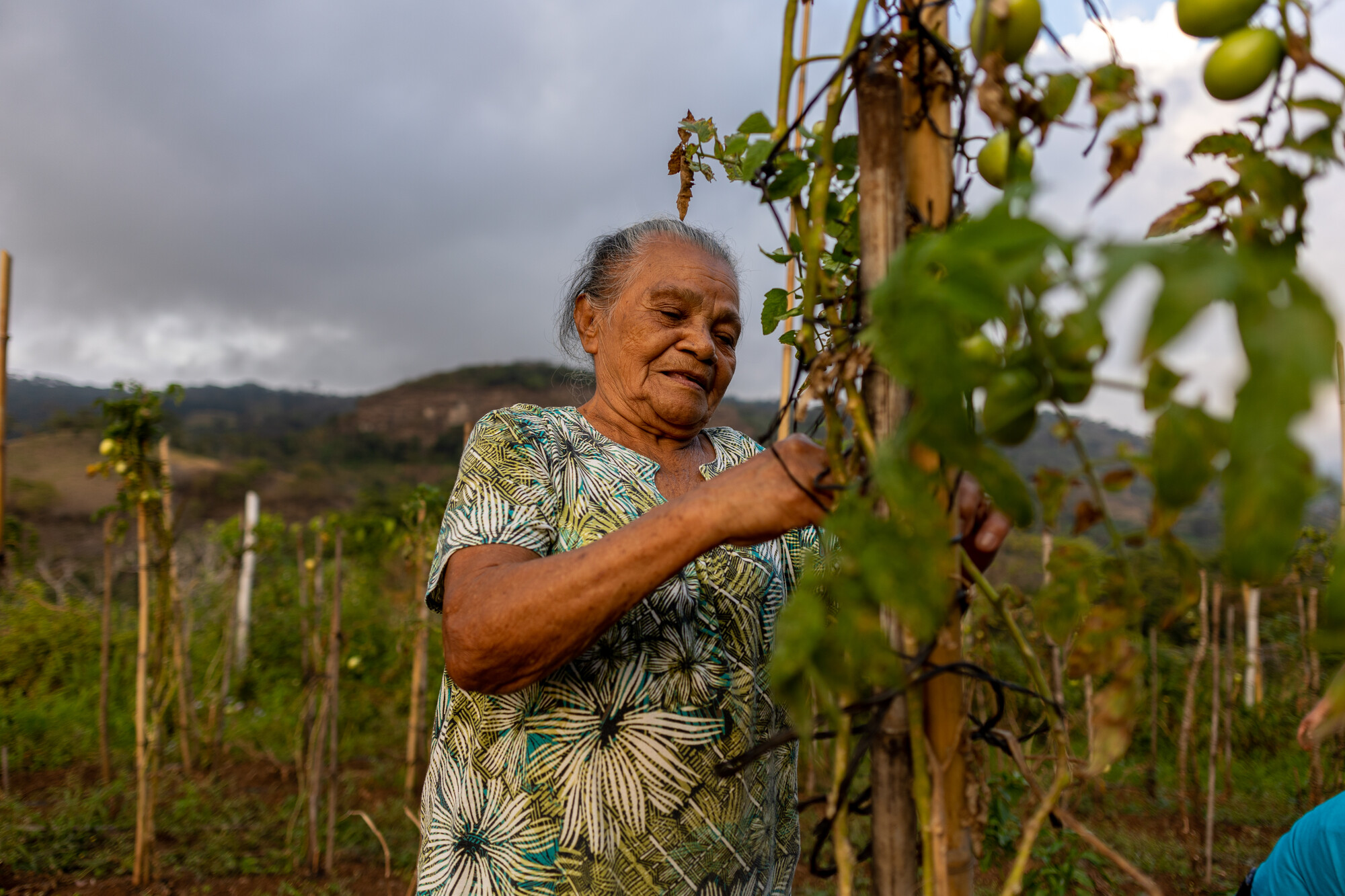 An older Salvadoran woman works in a field