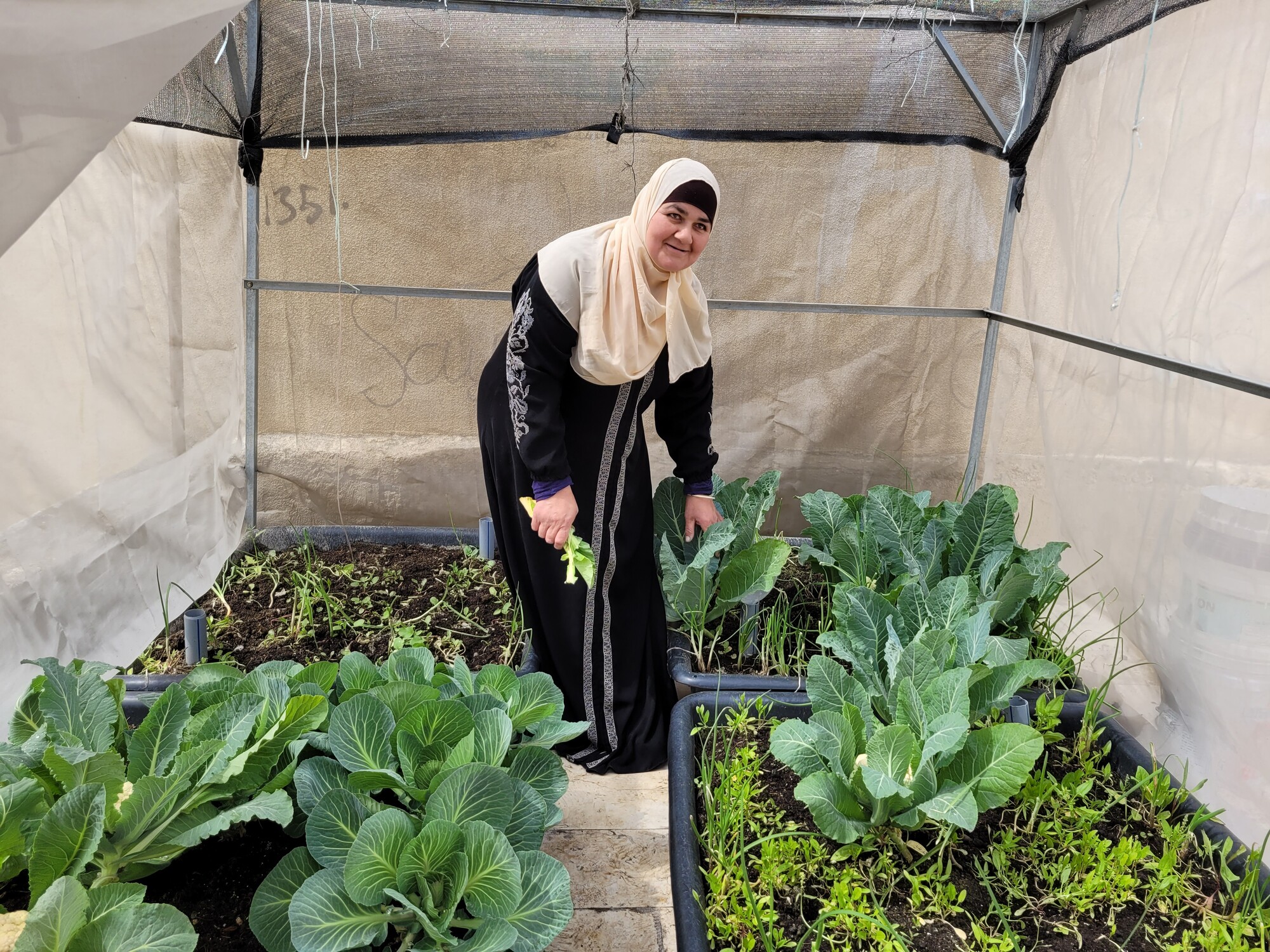 A woman leans over her vegetables in a greenhouse