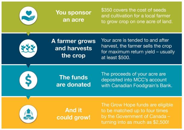 An illustration of four different rows. Row one says "You sponsor an acre." Two two says, "A farmer grows and harvests the crop." The third row says, "The funds are donated." The fourth row says, "And it could grow."