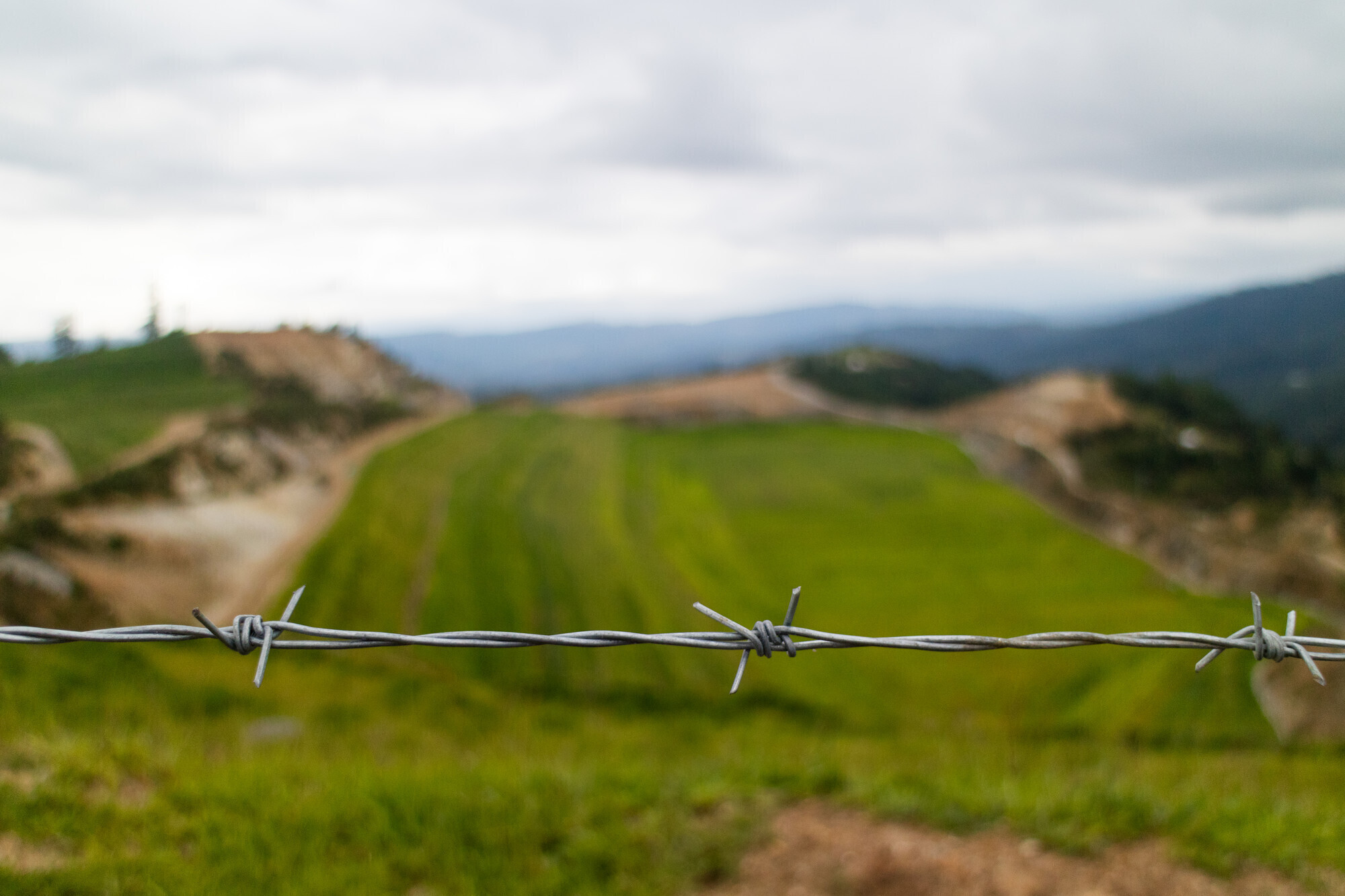 A barbed wire fence