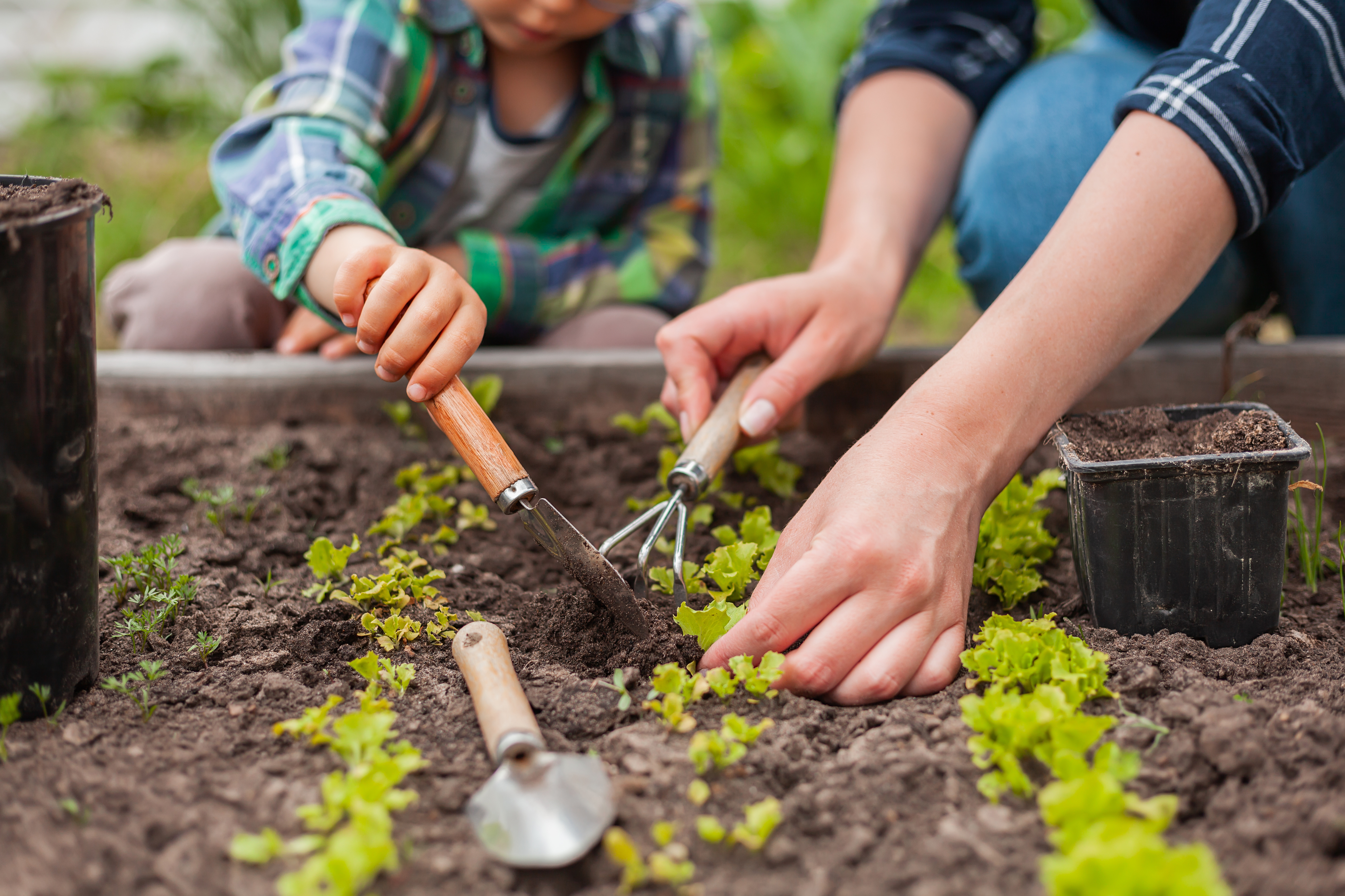 child and adult working in garden