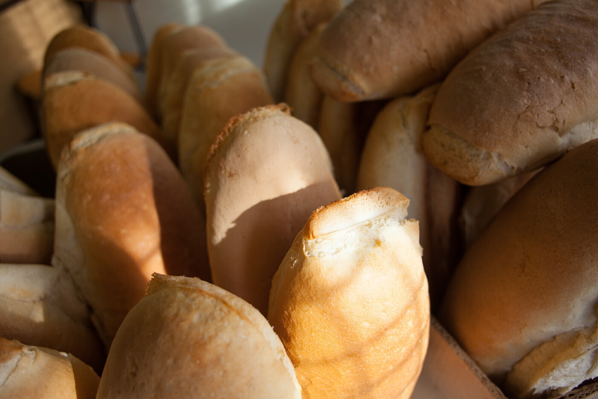 A close up of loaves of bread