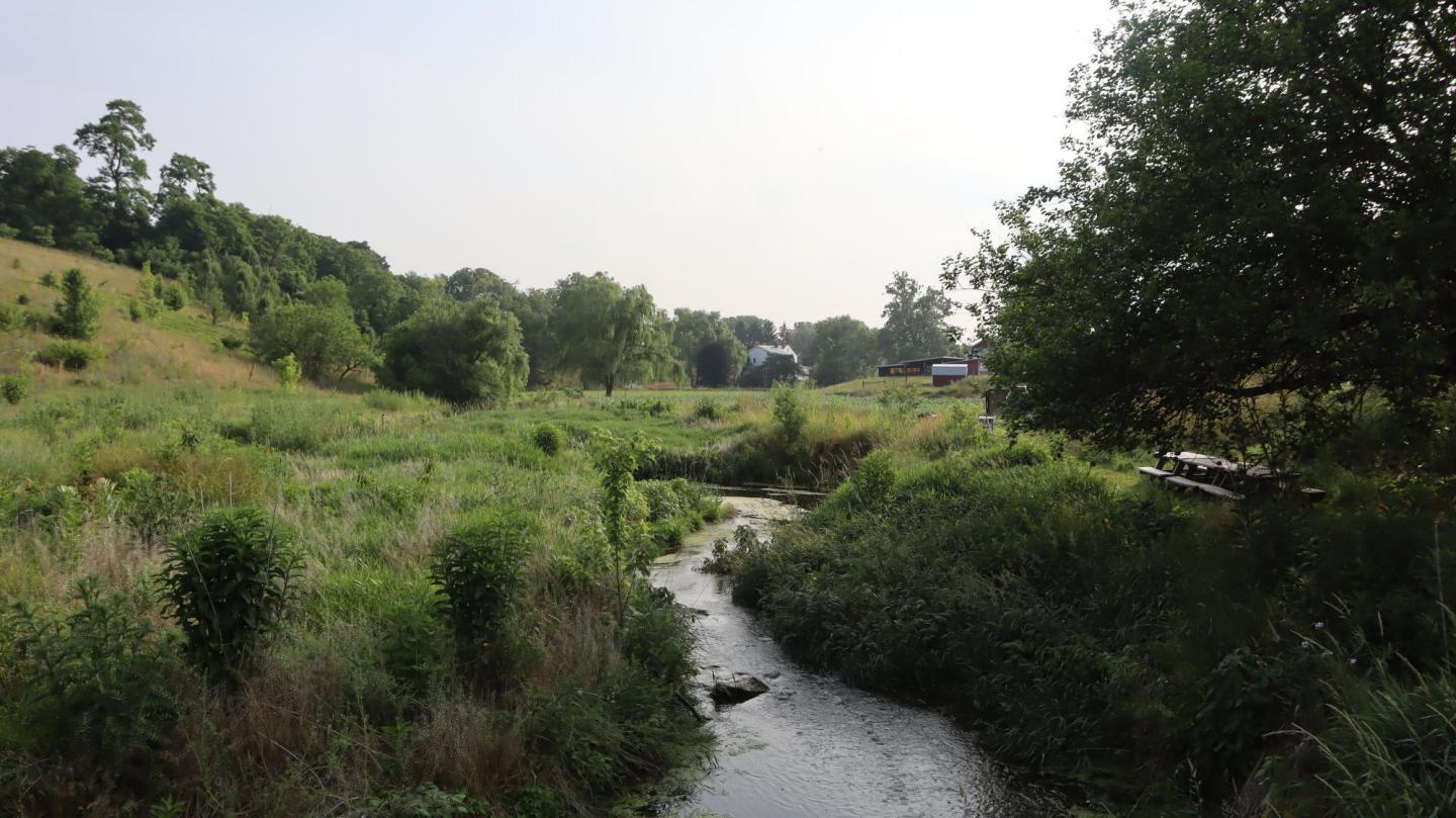 A creek running through farm land