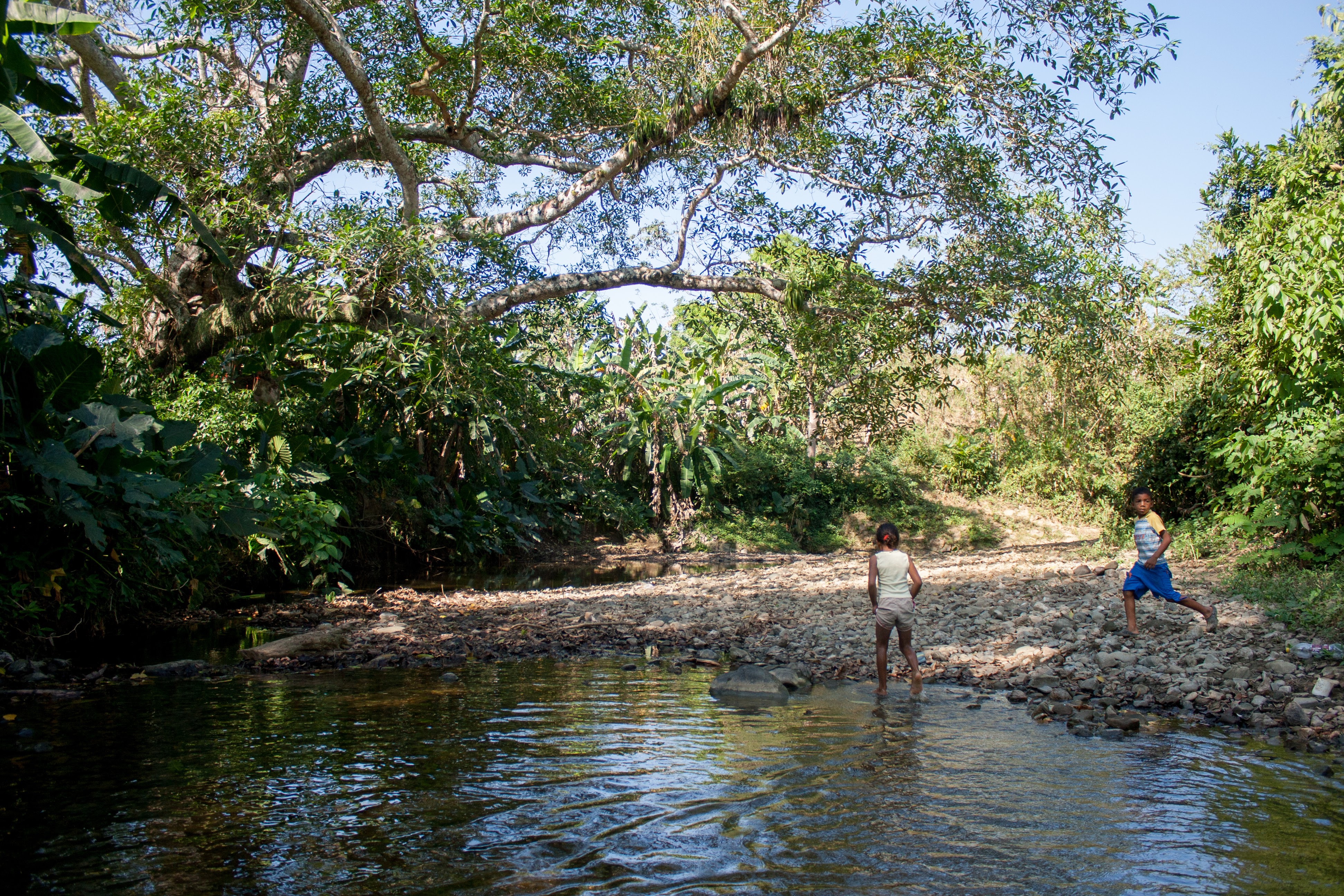 Children playing by a river