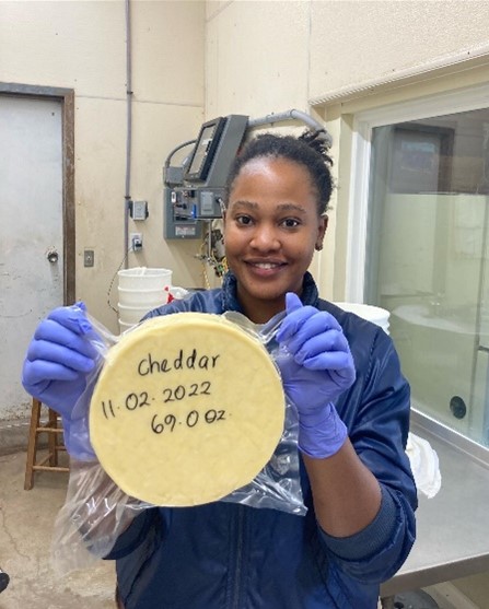 Naomi Kwanza from Tanzania (IVEP 2022-23) packages cheese at Grazing Plains Farm.