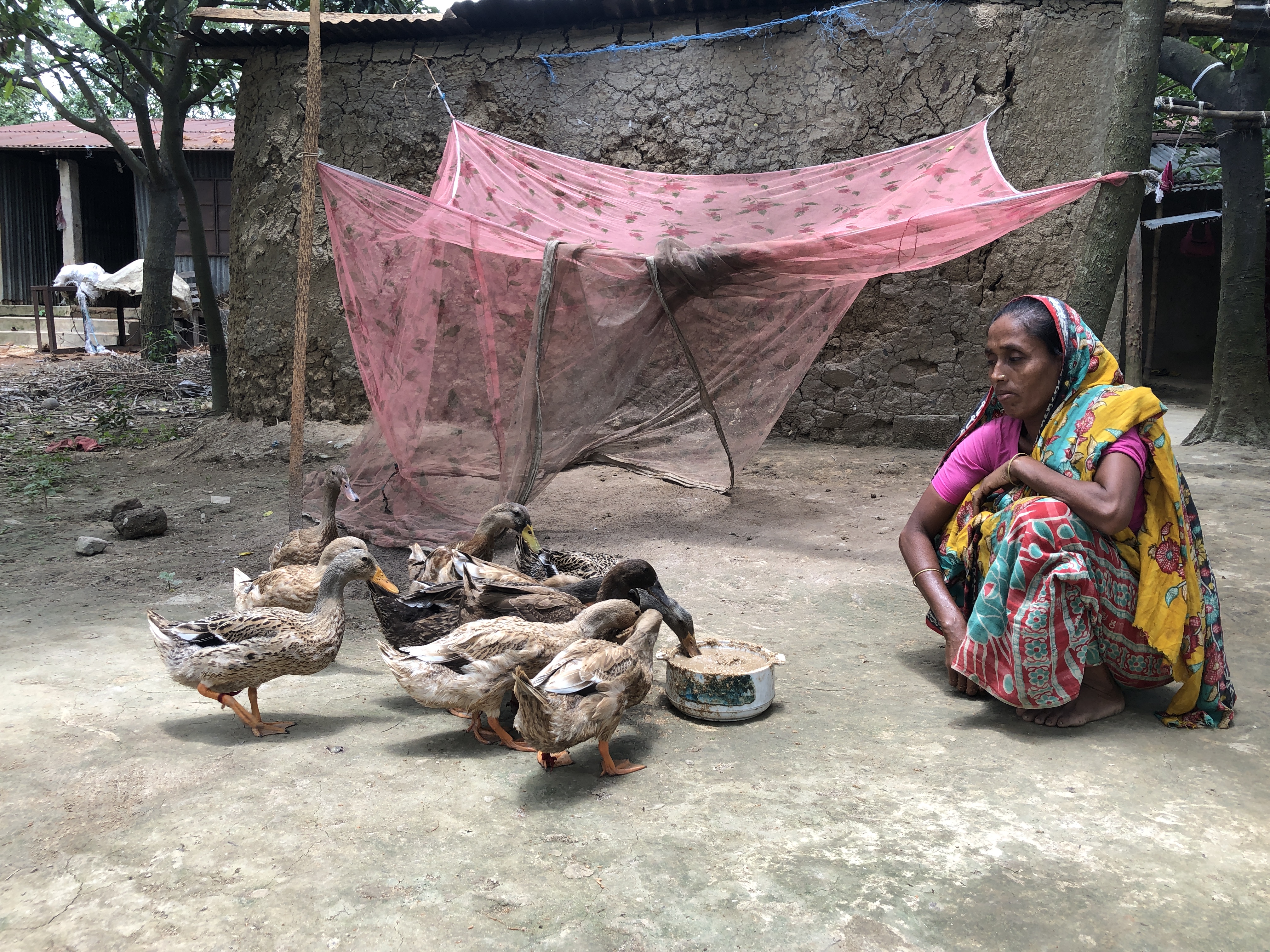 woman with ducks