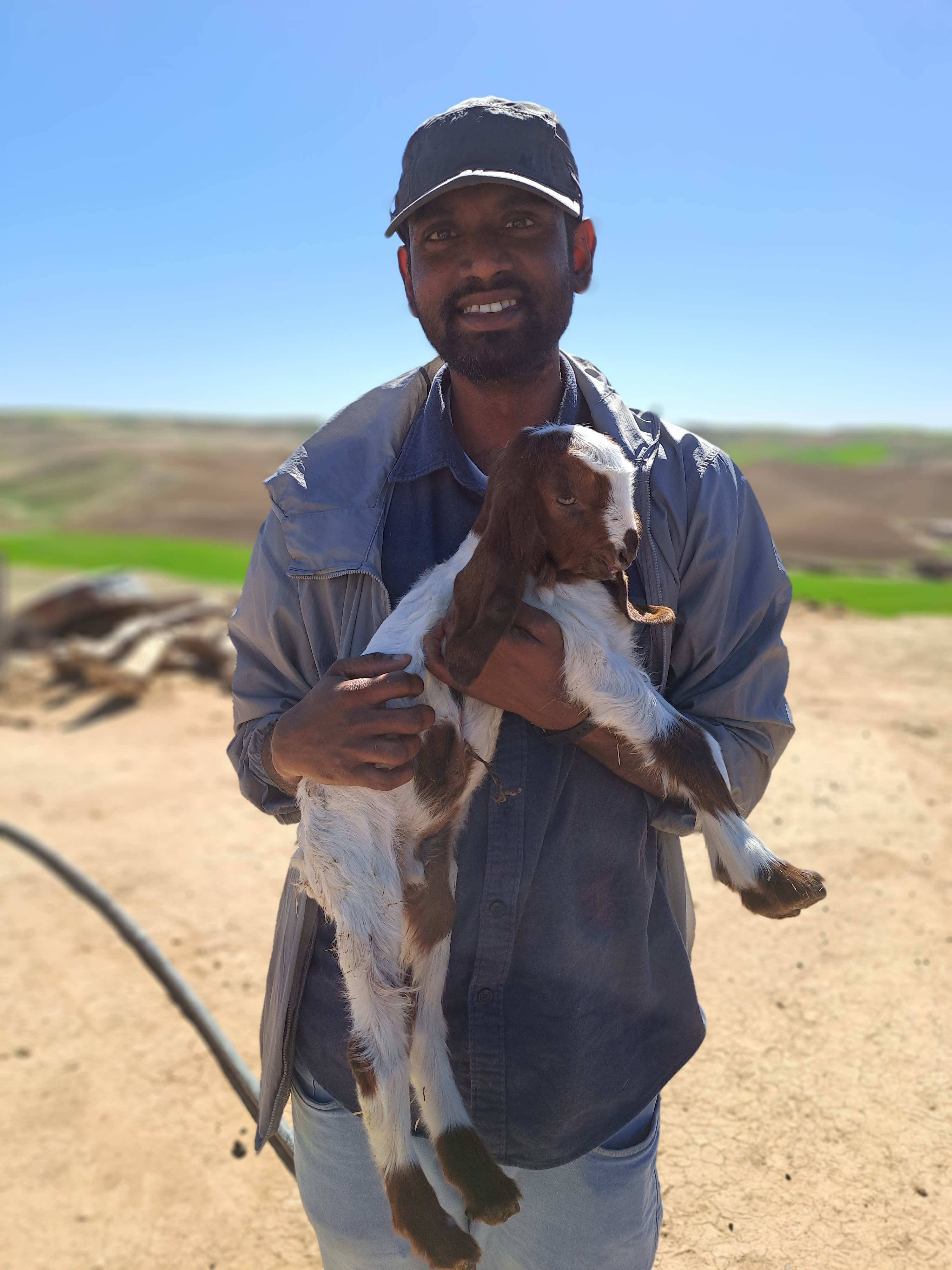 Sunny Neelam from the MCC team with a one-day-old goat in Tel Kaif, Iraq. 