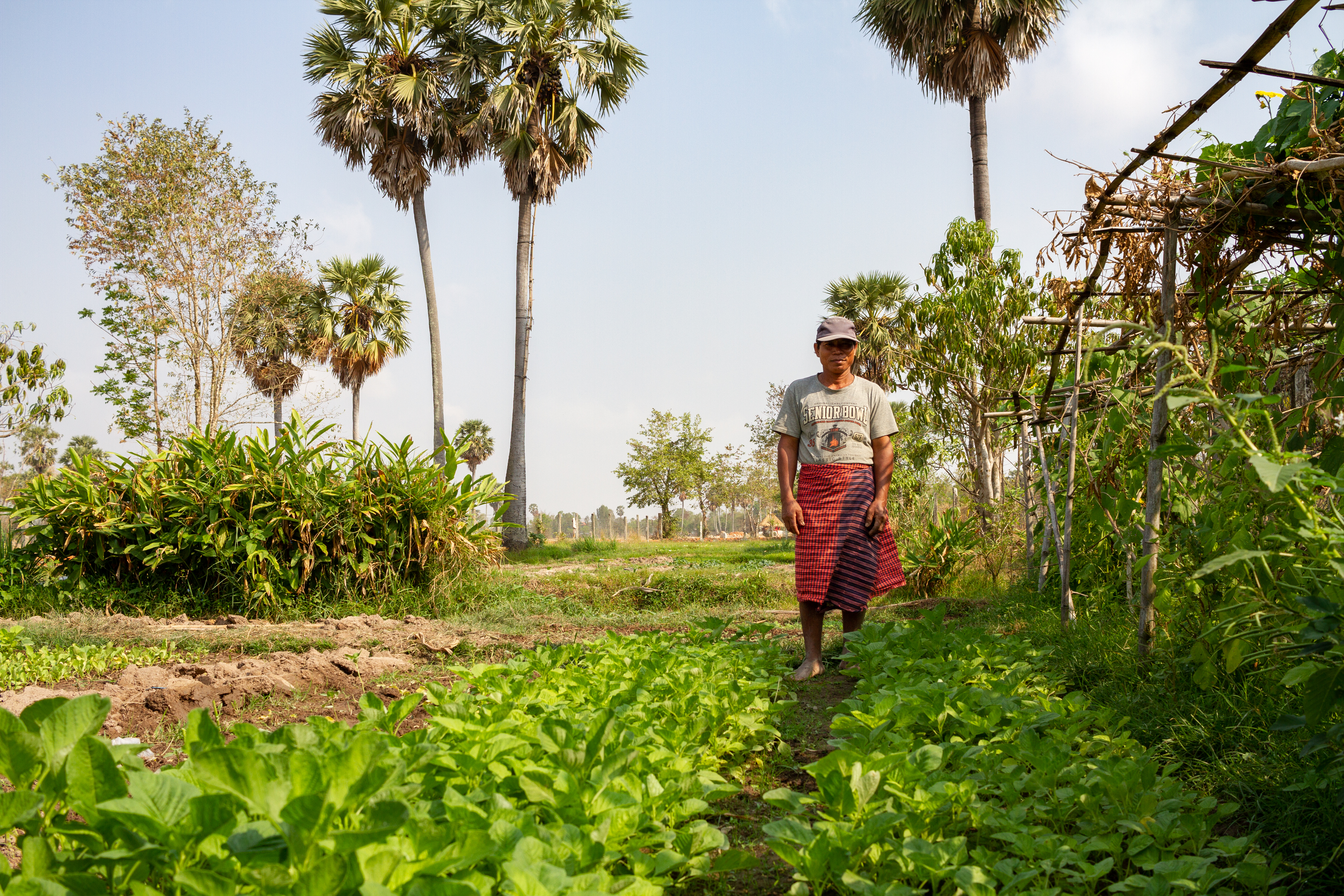 Picture of Hong Saron, a farmer supported by MCC partner Organization to Develop Our Villages (ODOV), stands in his garden that he tends with his wife Khun Muen in Tultary village, Mesang district, Cambodia. In this garden, he grows a wide variety of vegetables both for household consumption and for sale in the local market.