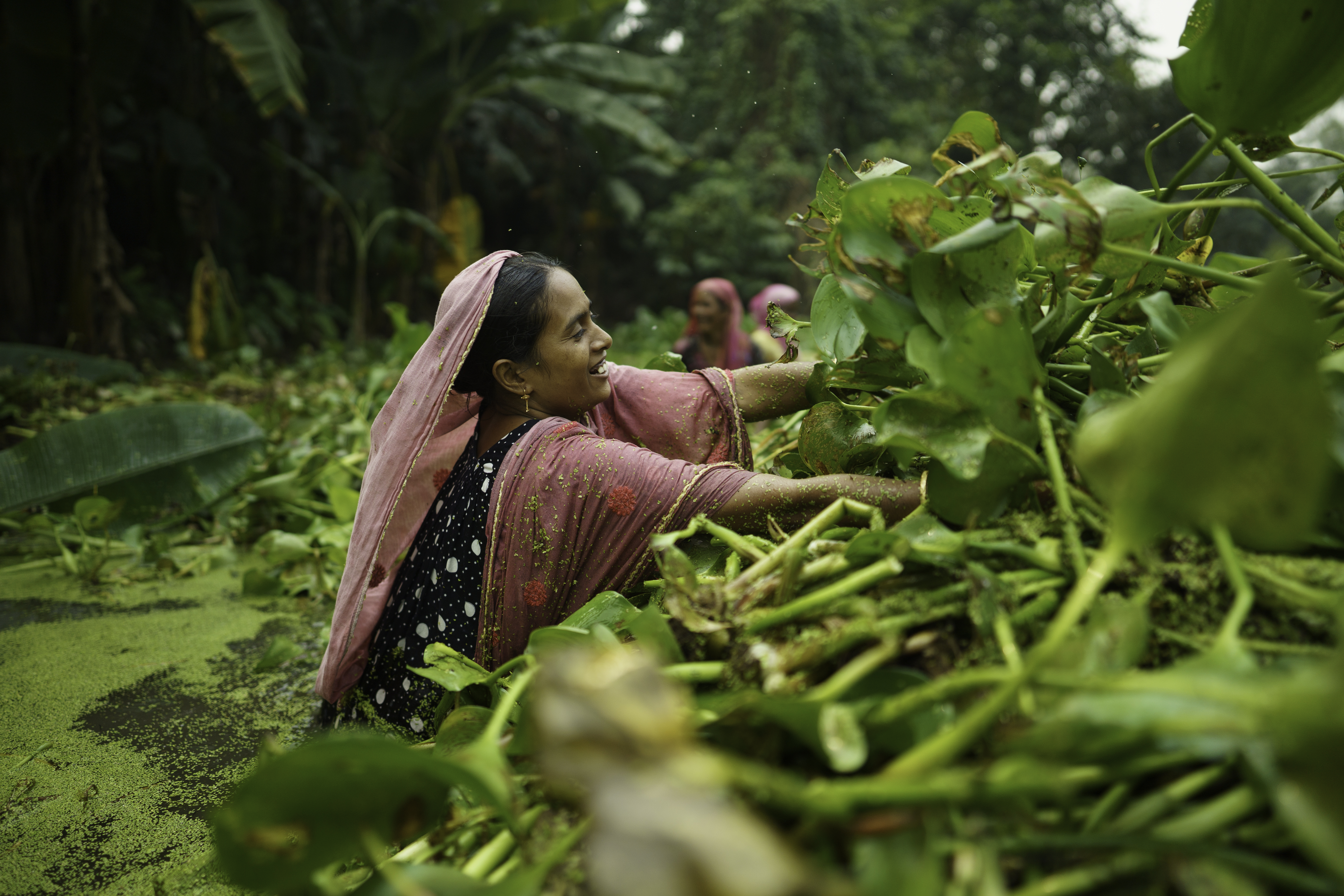 a Bangladeshi woman tends to her floating garden