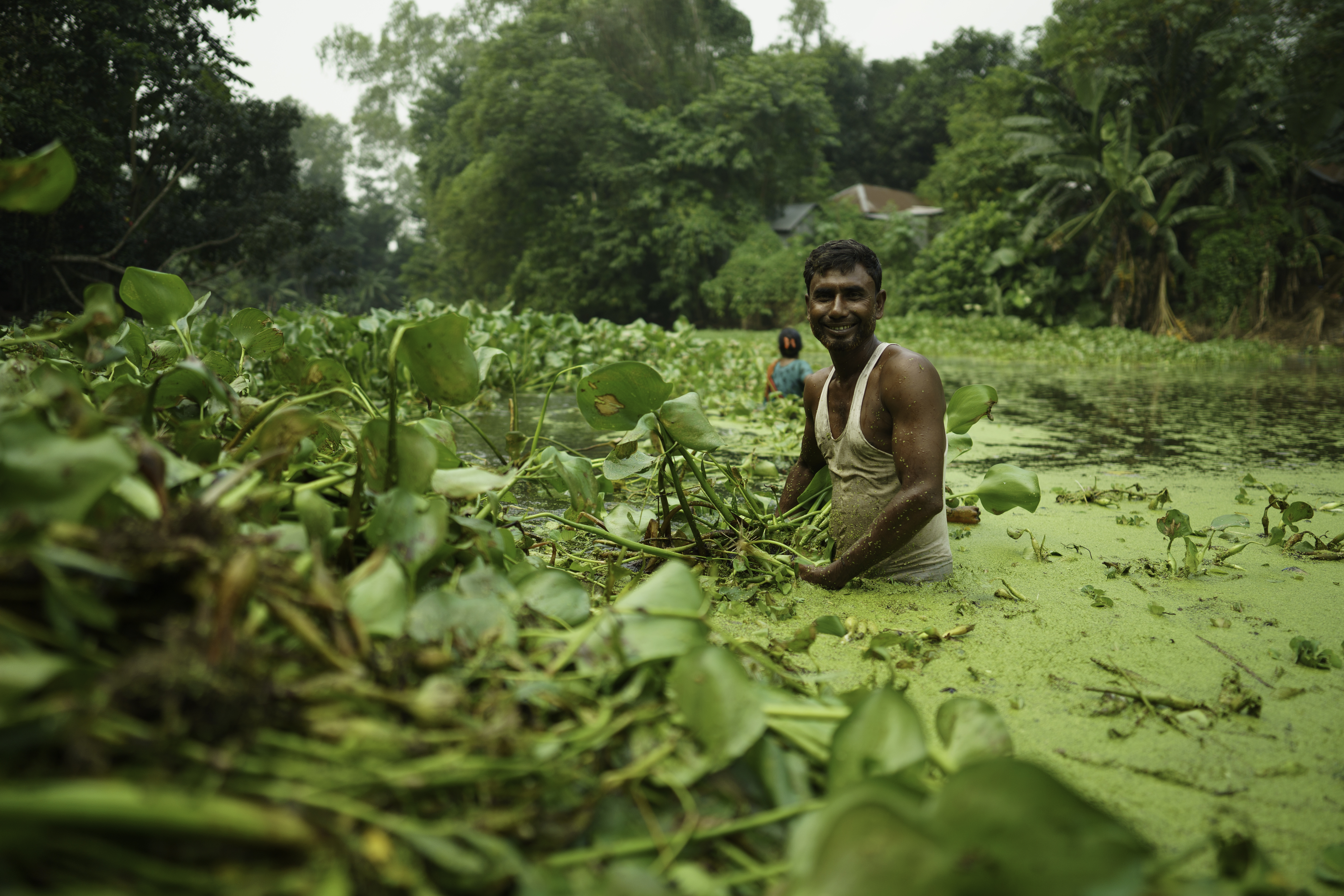 Zahidul Islam works on his floating vegetable garden, he can harvest vegetables all year round, and flooding cannot destroy his gardens anymore. Project implemented by MPUS and funded by MCC. Bogura, Bangladesh.