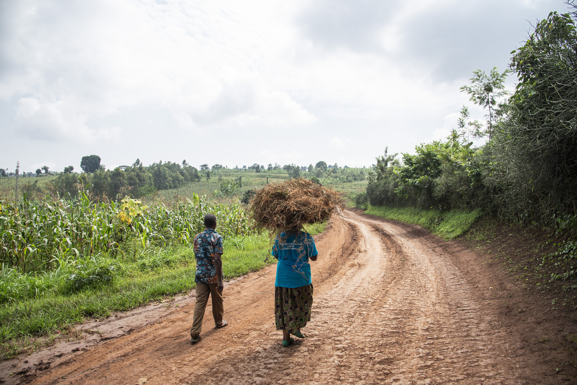 Two individuals walk on a dirt road amidst greenery. One carries a large bundle of hay on their head. The setting appears rural with overcast skies.