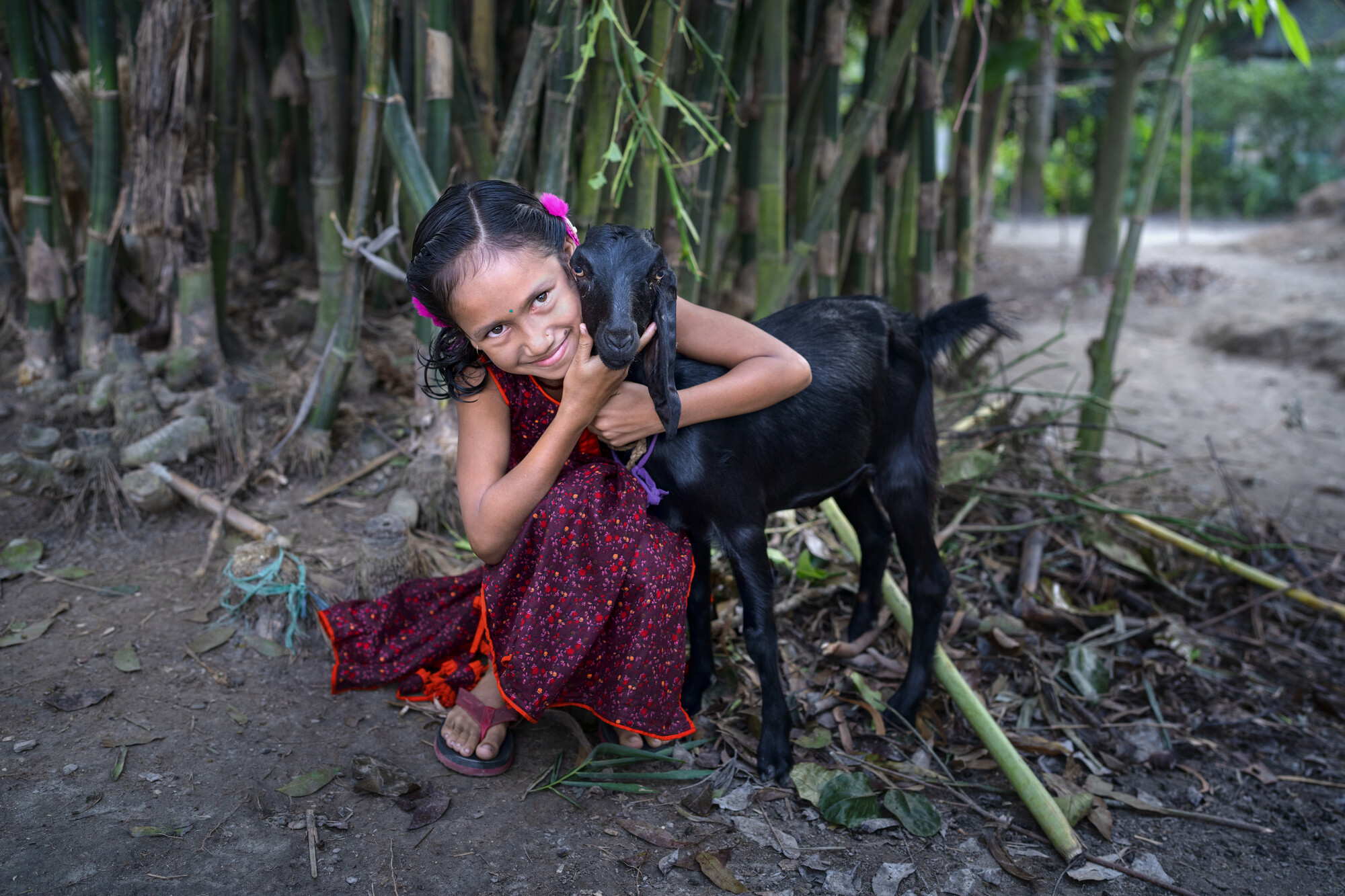 Nine year old girl hugging a goat her mother raises.