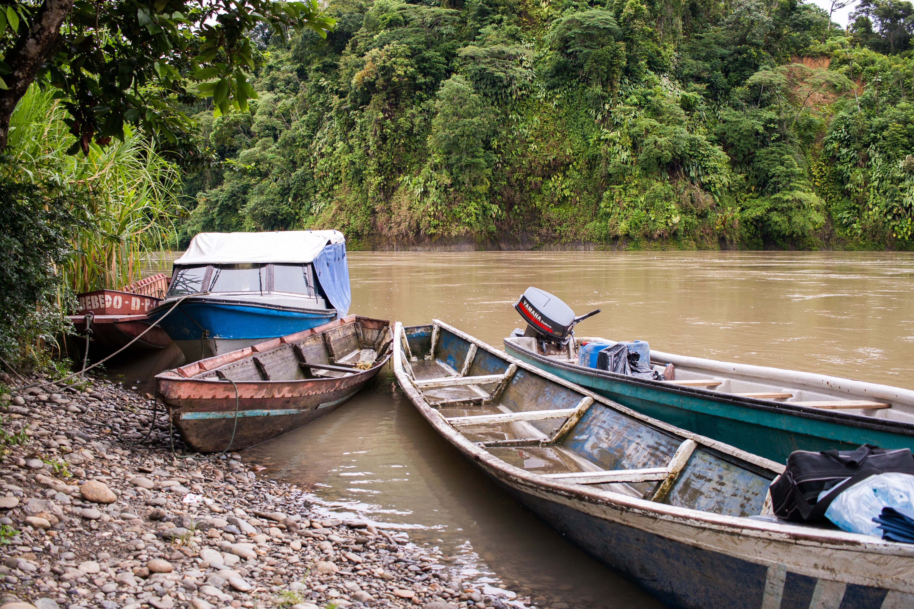 boats beside a river