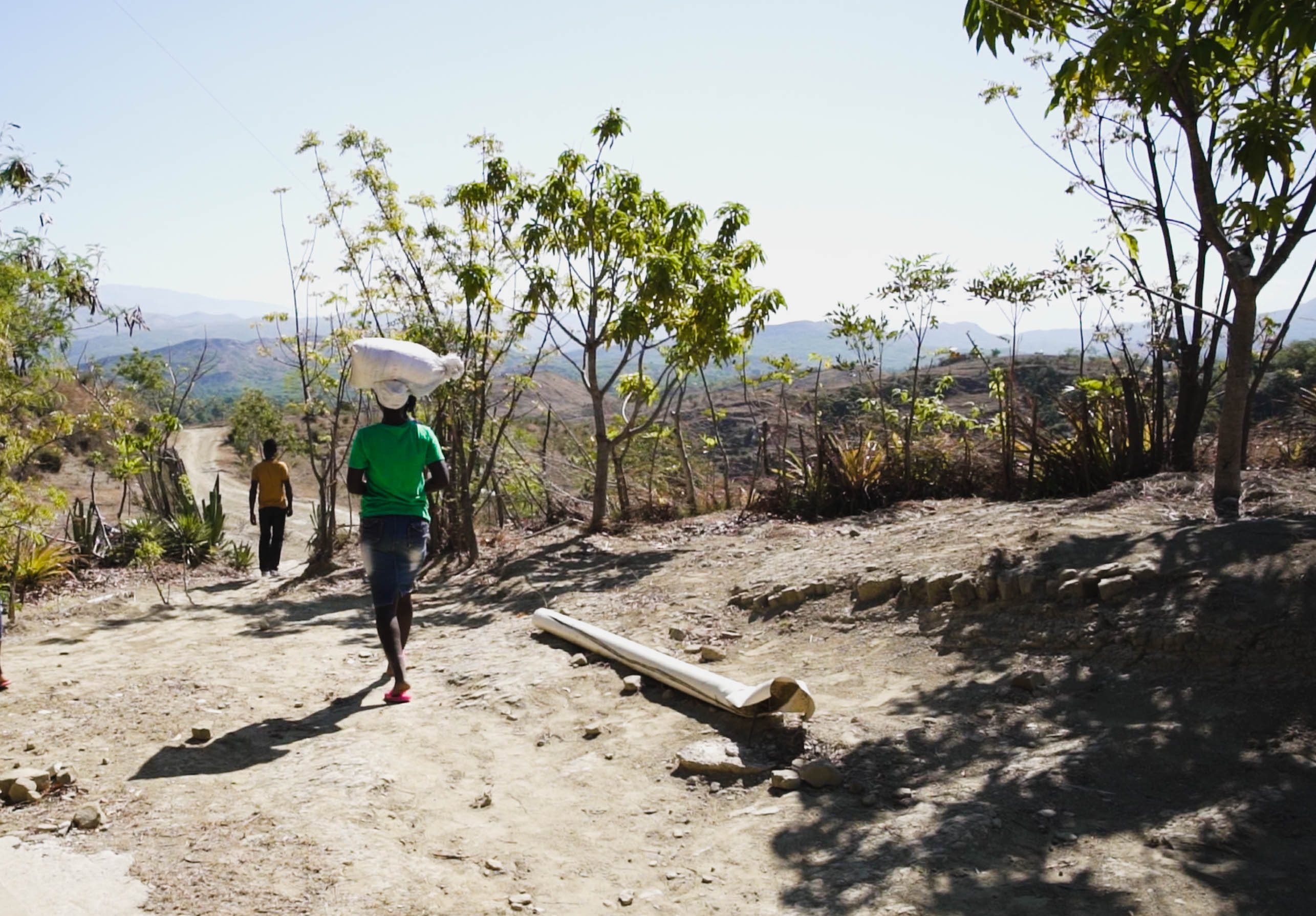 Person walking down a dusty path in a rural scene