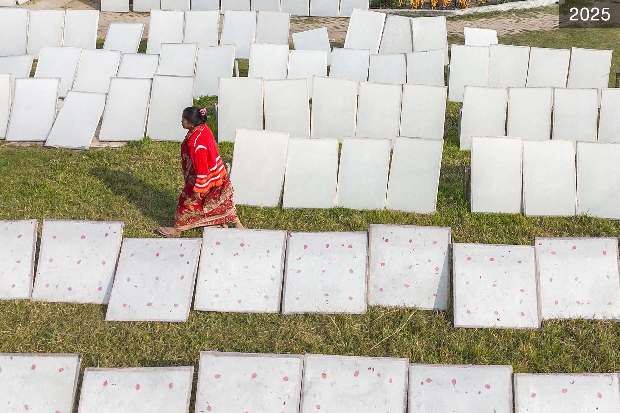 A woman walks past rows of drying papers. The year 2025 is in the corner of the image.