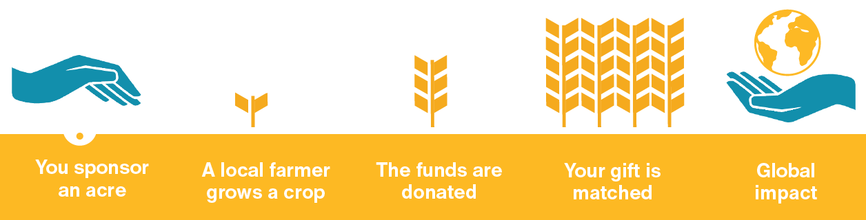 An infographic showing how Grow Hope works, from sponsoring an acre to larger global impact.