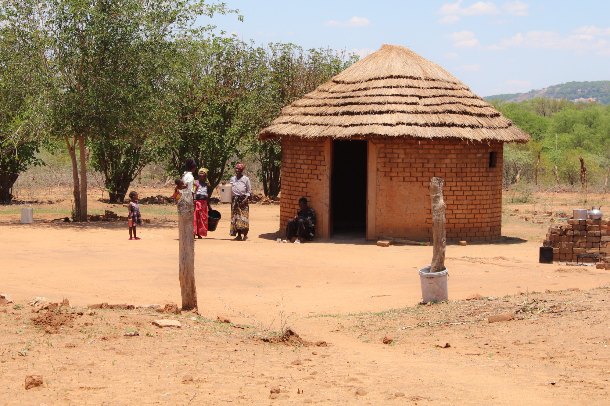 thatch roof house surrounded by dry land