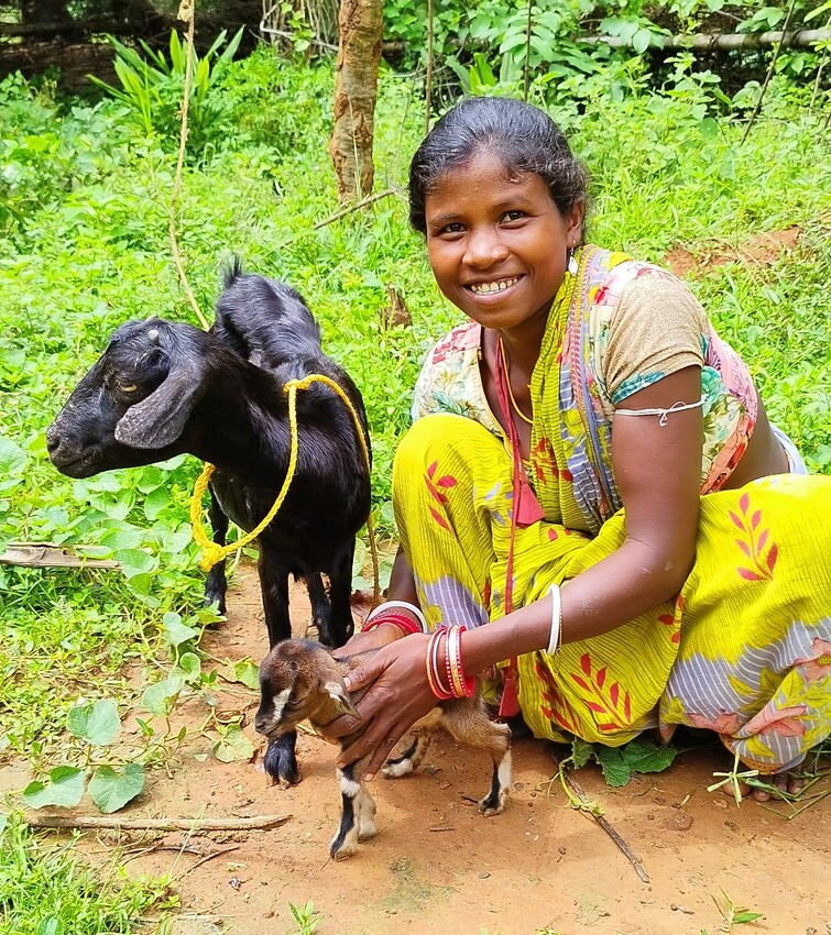 A young girl crouching with two goats