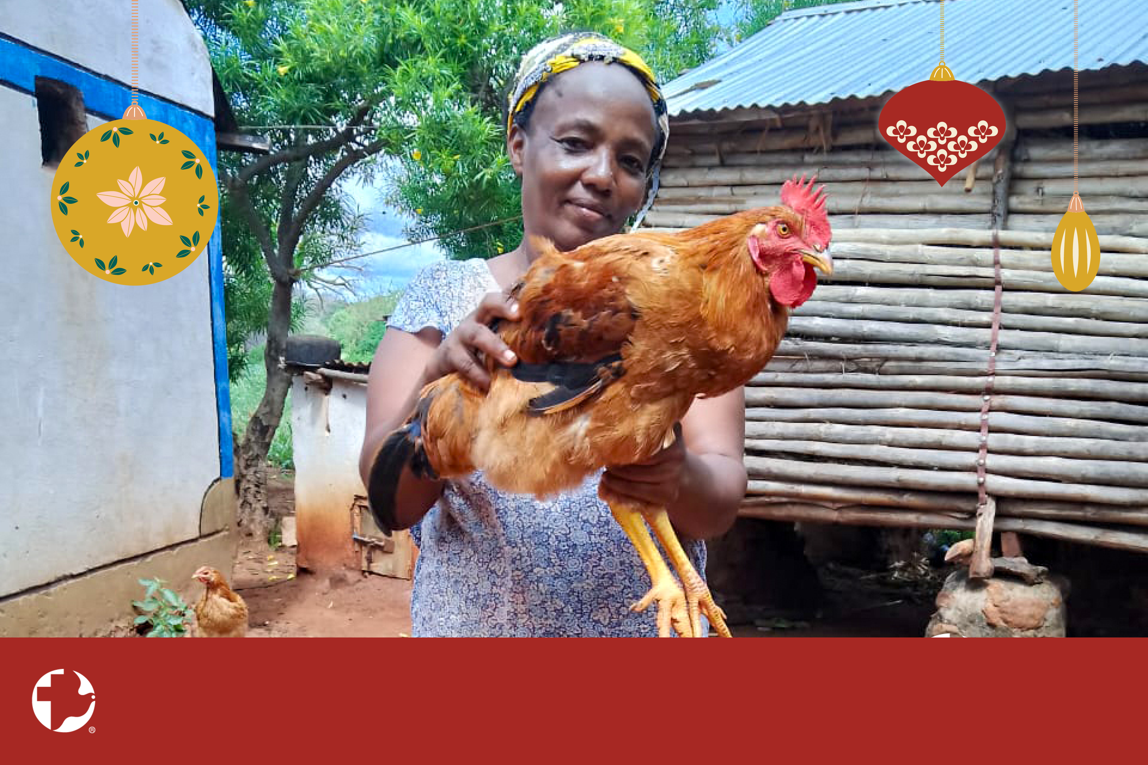 A woman holding up a chicken. Christmas ornaments are imposed over the photo with the MCC logo in the bottom left corner.