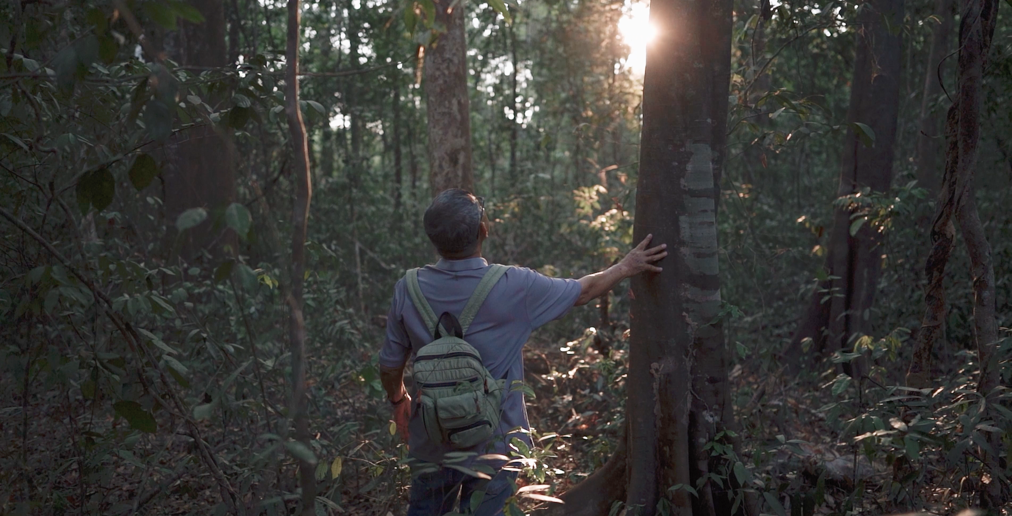 Man stands in the forest